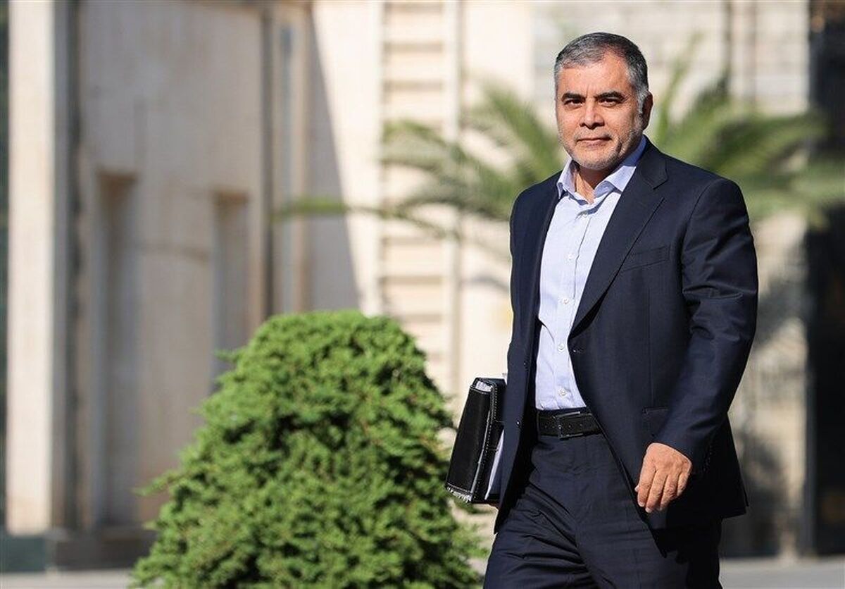 پاکنژاد: کاهش فروش نفت ایران صحت ندارد