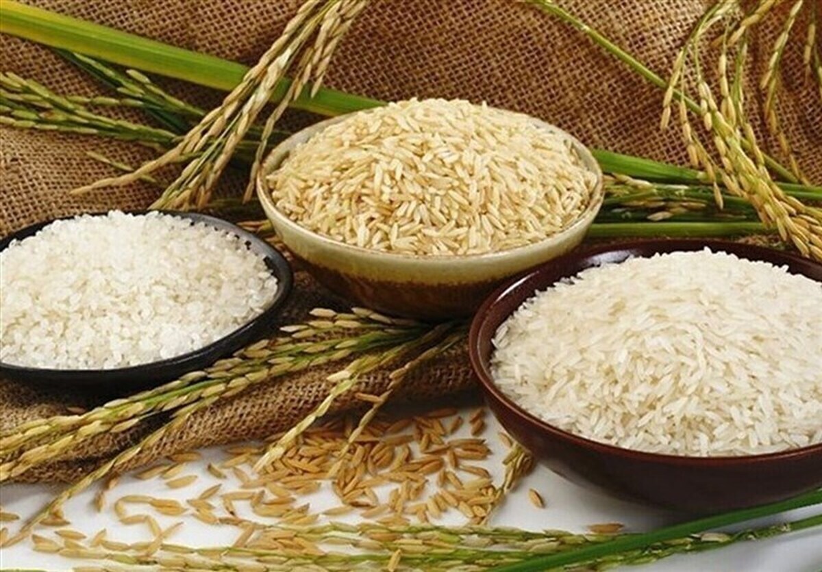 به اندازه کافی برنج در کشور موجود است