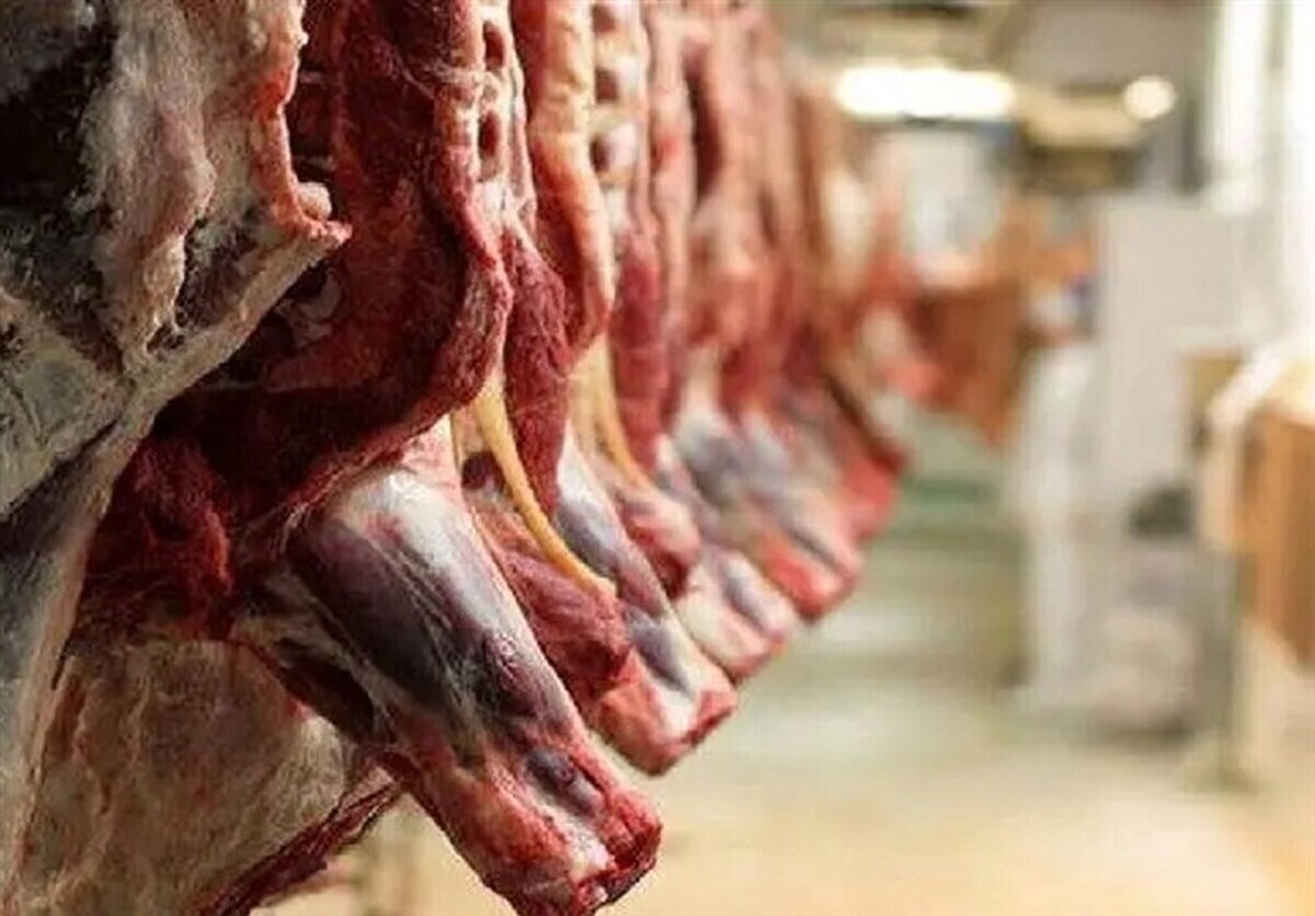 عرضه گوشت تنظیم بازار در فروشگاههای زنجیره افزایش مییابد