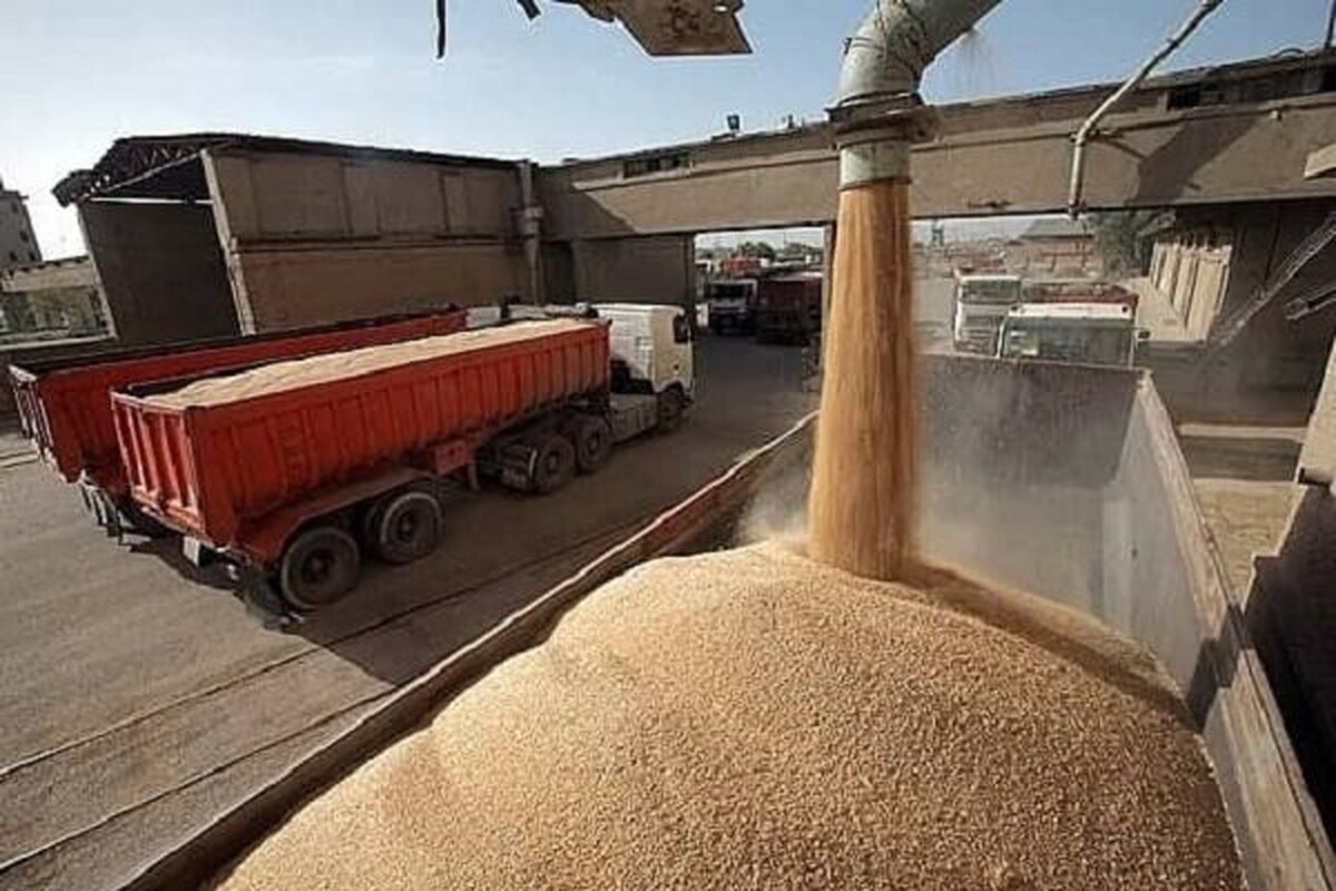 فعالیت بدون وقفه بنادر در بارگیری و توزیع نهاده و آذوقه به استان ها