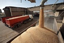 فعالیت بدون وقفه بنادر در بارگیری و توزیع نهاده و آذوقه به استان ها