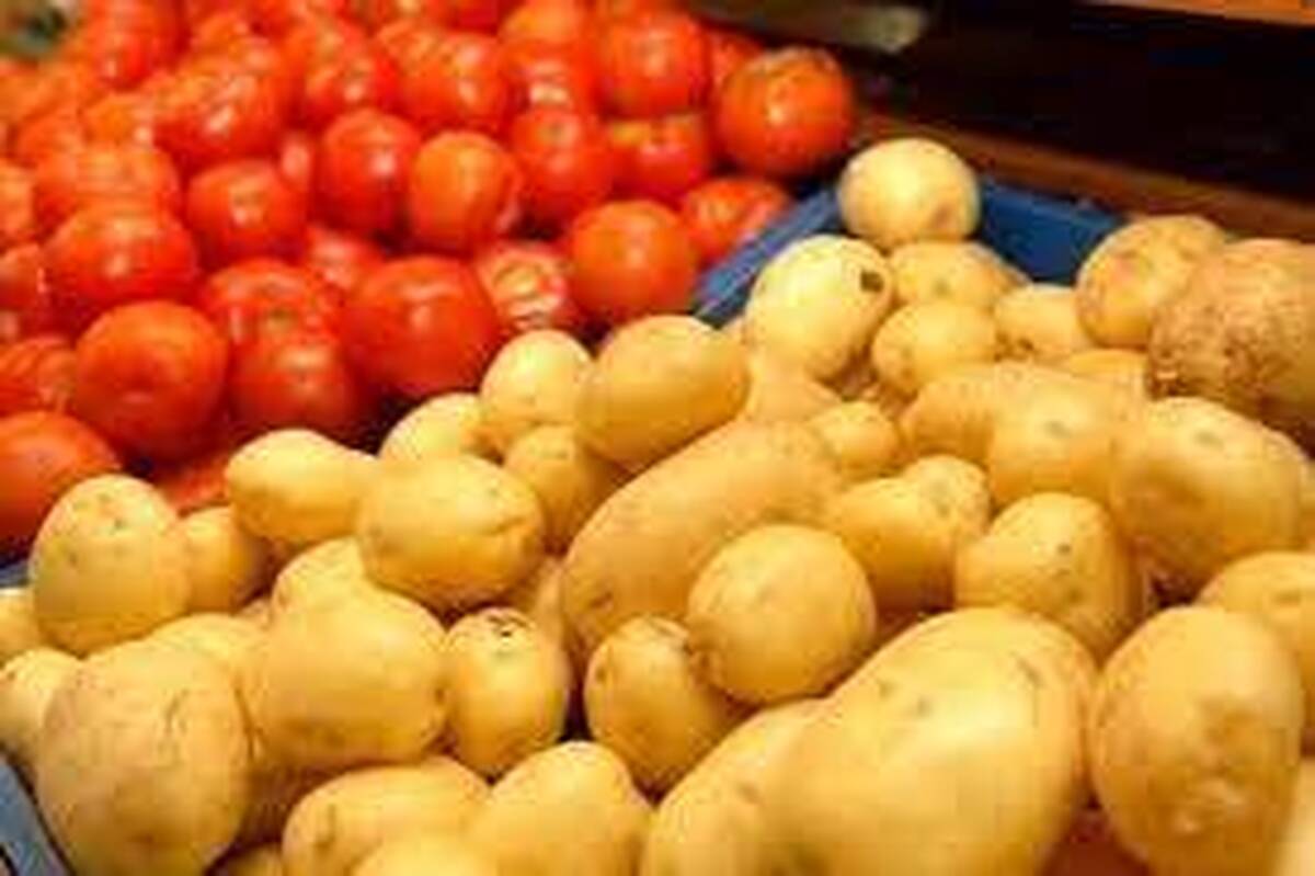 کاهش قیمت سیب زمینی و پیاز به ۱۶ تا ۲۰ هزار تومان