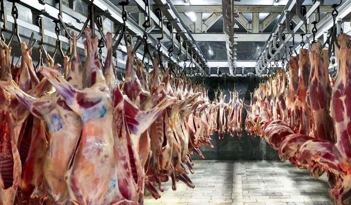 بازار گوشت در ثبات کامل؛ دام به وفور وجود دارد
