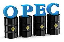 امکان فعالیت شرکت های ایرانی در سرمایه گذاری های صندوق اوپک