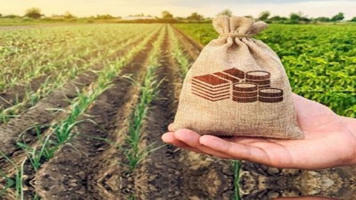 مهلت پرداخت اقساط بیمه کشاورزی افزایش یافت