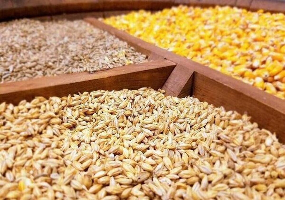 فرصت یکماهه واردات نهادههای دامی آغاز شد