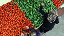 قیمت عمده و نرخ روز میوه و سبزیجات تعیین شد+ جدول