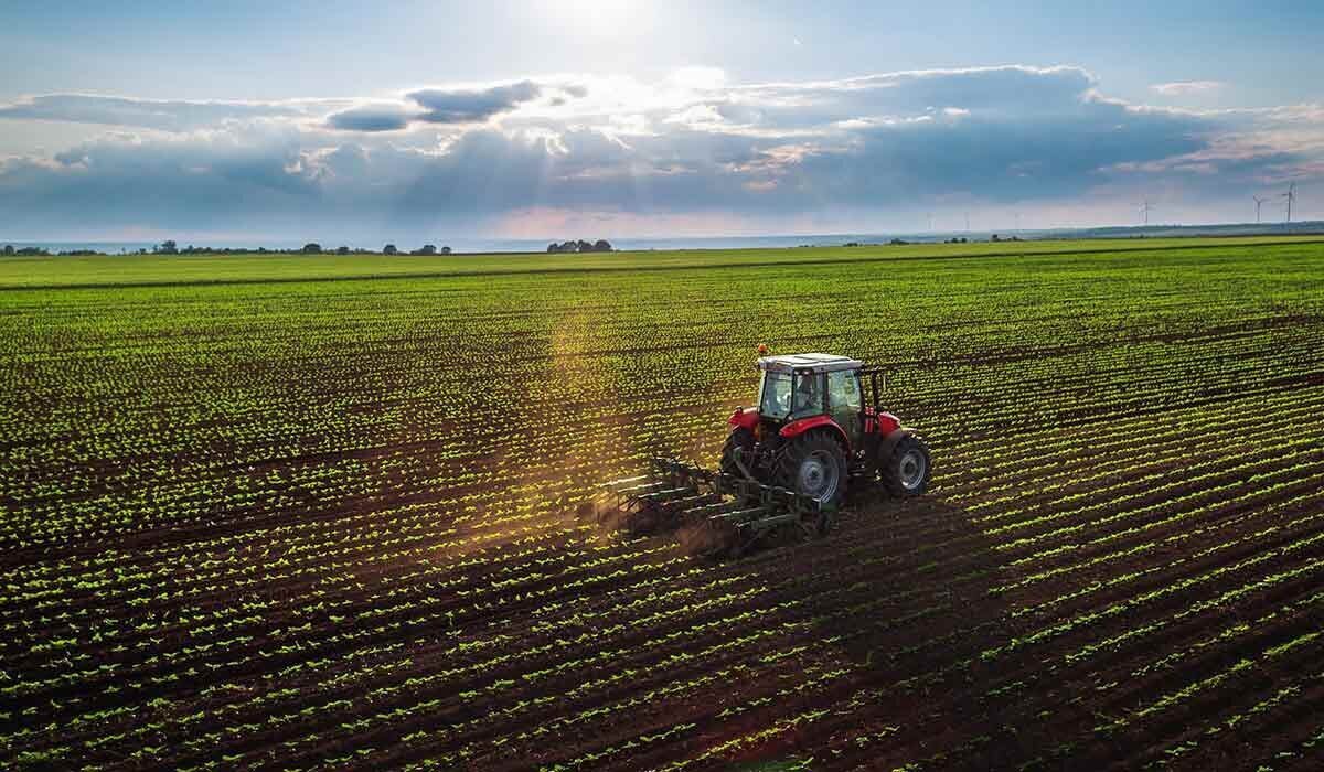 خودکفایی هوشمند؛ راهی برای تامین امنیت غذایی