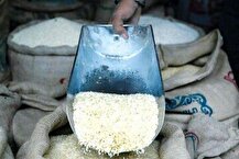 قیمت مصوب برنج اعلام شد