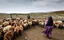 آمادگی کامل برای خدمات‌رسانی بی‌وقفه به عشایر کشور