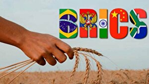 بازتعریف هژمونی غذایی جهان در بریکس؛ انحصار کشاورزی آمریکا می‌شکند؟