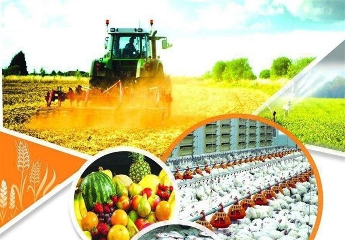 تامین حداکثری ذخایر راهبردی کشاورزی برای ۶ ماه