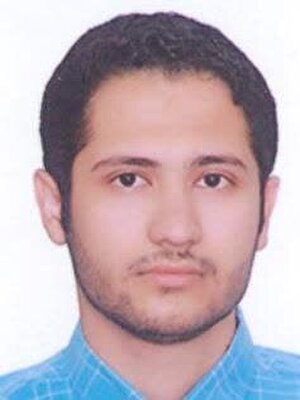 بررسی عملکرد رایزنان بازرگانی ایران با نگاهی تطبیقی به مدل موفق ترکیه