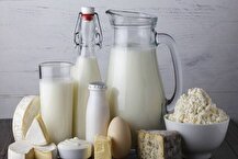 شرکت‌ها خودسرانه لبنیات را گران کردند؛ نرخ‌گذاری رسمی لازم است