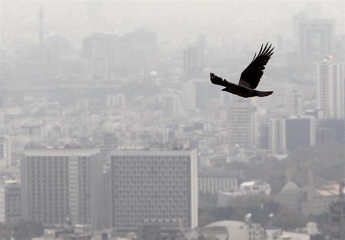 درخواست افزایش نرخ کمیسیون مشاوران املاک در اوج رکود بازار مسکن