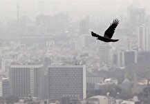 درخواست افزایش نرخ کمیسیون مشاوران املاک در اوج رکود بازار مسکن