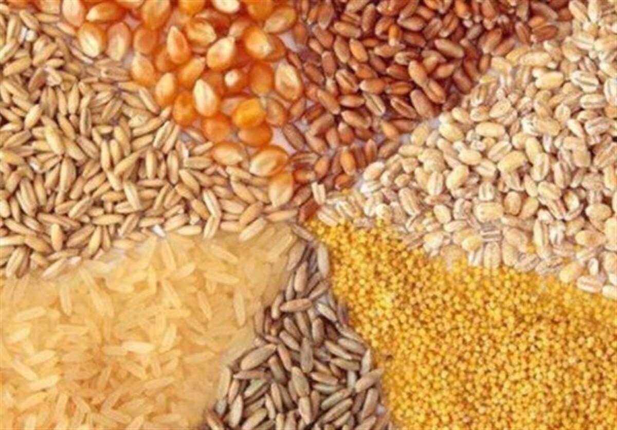 قیمت مصوب جدید نهادههای دامی، روغن و شکر خام اعلام شد