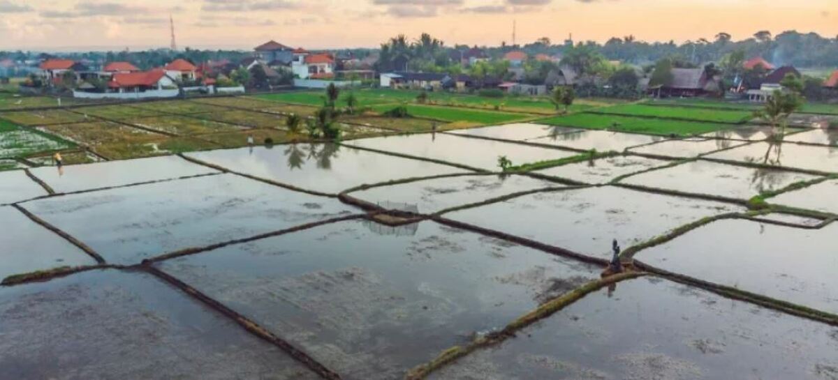 کشاورزی سنتی؛ متهم ردیف اول بحران آب در ایران
