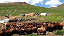 صدور کارت هوشمند عشایر گامی برای خدمات رسانی