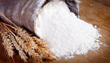 طرح هوشمندسازی یارانه ارد و‌نان روند صعودی مصرف ارد یارانه ای را متوقف کرد