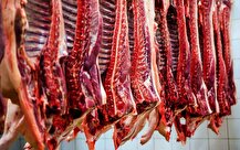 عایدی کشور از تنظیم‌گری دولت در بازار گوشت‌ قرمز چه بود؟
