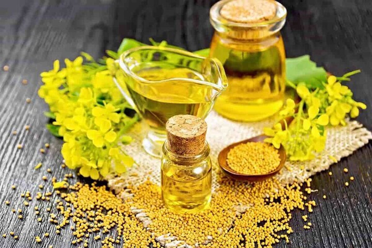 خرید تضمینی کلزا از ۲۵۰ هزار تن عبور نمیکند