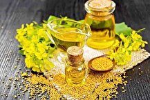 خرید تضمینی کلزا از ۲۵۰ هزار تن عبور نمی‌کند