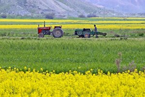 توقف طرح الگوی کشت در ایستگاه تامین اعتبار