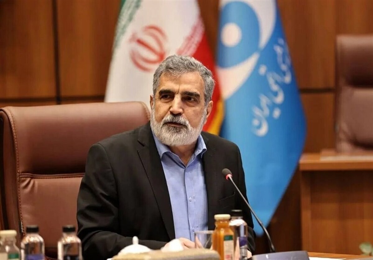 کمالوندی: صنعت هسته‌ای در کشور ما ریشه دارد