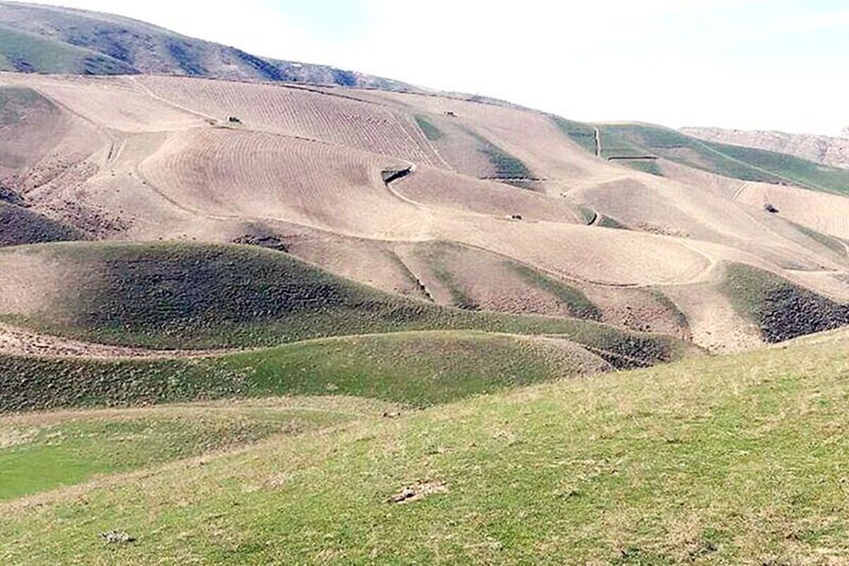 طرح‌های مرتعداری، امسال ۲ میلیون هکتار رشد می‌کند
