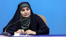 رفع مشکل تردد کامیون‌های ایرانی در ارمنستان/ کریدور خلیج فارس-دریای سیاه نهایی می‌شود