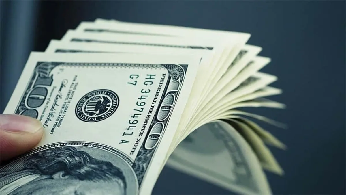 لزوم تشکیل کمیته سهجانبه دولت، مجلس و بانک مرکزی برای تصمیمگیری درباره ارز