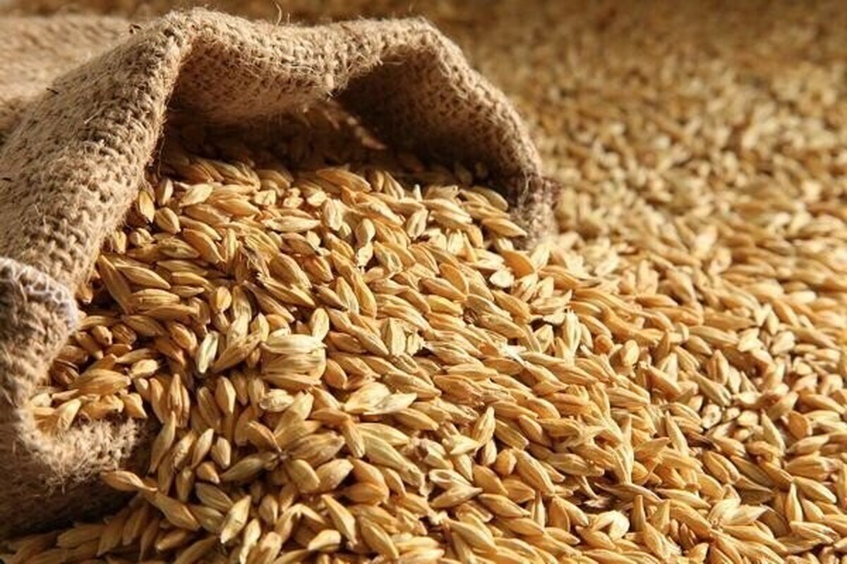 ثبت سفارش جدید جو فردا آغاز میشود