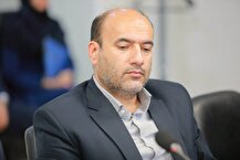 نماینده مجلس: حمایت از مصرف‌کننده نباید به قیمت تضعیف تولید ملی تمام شود
