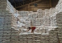 گم شدن ۱ میلیون تن برنج شدنی است؟