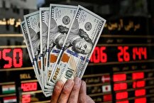 قیمت دلار در بازار ارز تجاری امروز ۱۲ شهریور ۱۴۰۴