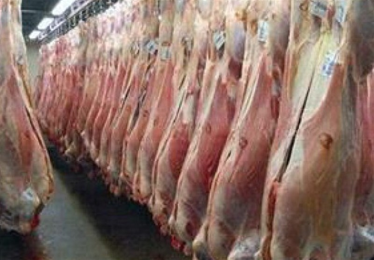آغاز ثبت سفارش جدید برای واردات گوشت منجمد و گرم