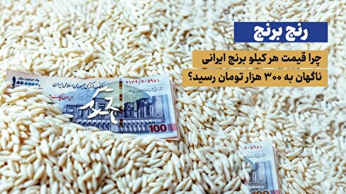 بحران پنهان در بازار برنج؛ ناهماهنگی سیاست‌گذاران