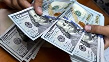 پیمان سپاری ارزی به صادرات فرش آسیب وارد کرده است