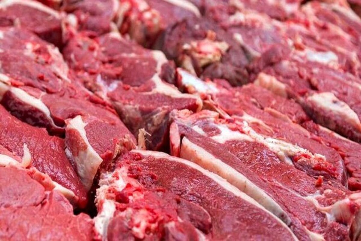 بخش خصوصی مستقیم وارد عرضه گوشت می‌شود؟