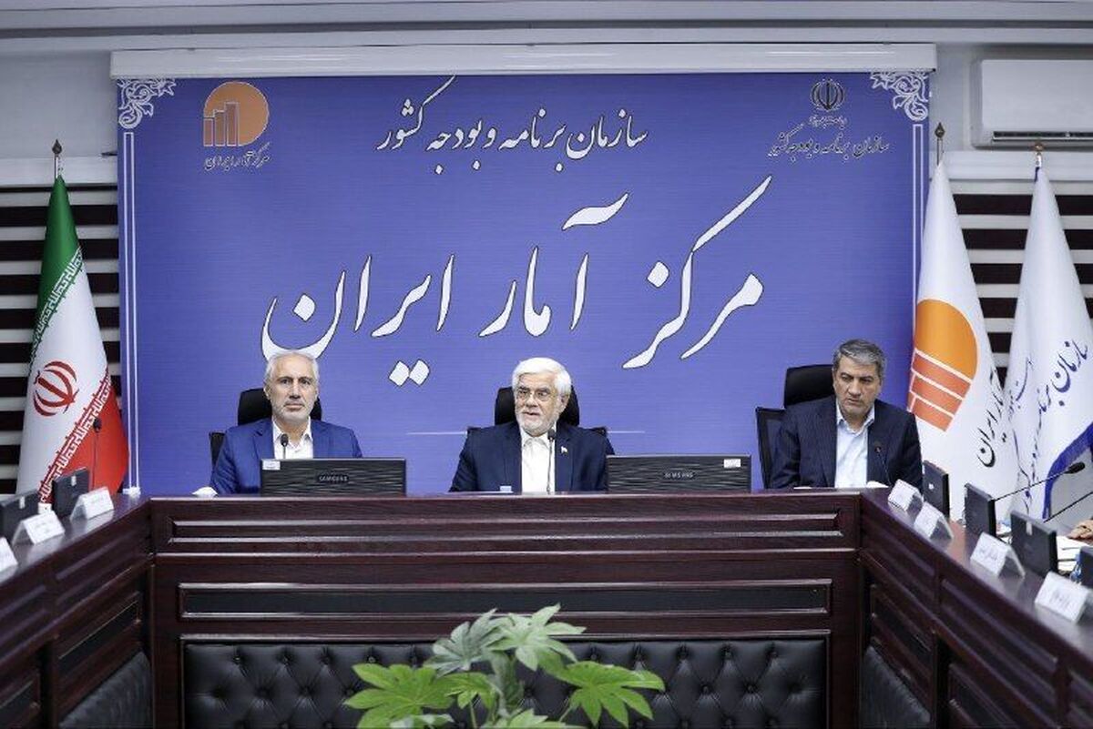 عارف:دولت چهاردهم با مرکز آمار ایران دستوری برخورد نمیکند
