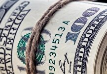 کاهش قیمت ارزها در بازار ارز تجاری/دلار چند شد؟