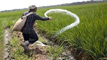 مصوبه پرداخت تسهیلات تهیه و تدارک کودهای کشاورزی ابلاغ شد