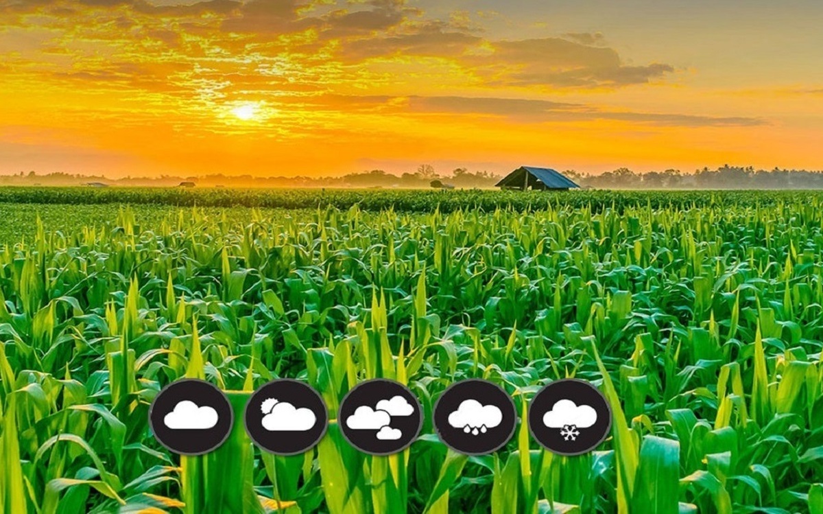 دامداران از مه پاش در سالنهای تولید شیر استفاده کنند