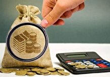 تحقق شفافیت و کاهش فرار مالیاتی با مشارکت مردم در تعیین هزینه‌کرد مالیات‌