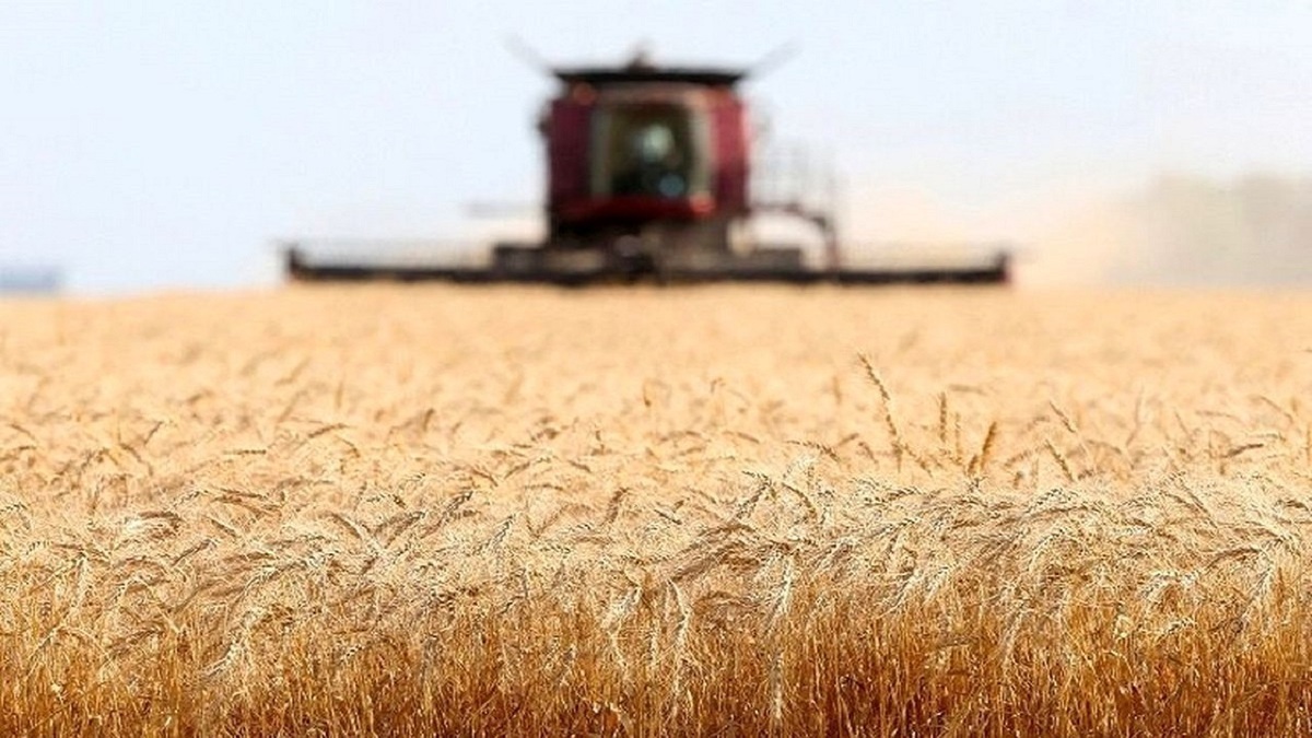 مرجع رسمی حسابهای ملی و رشد اقتصادی فقط مرکز آمار ایران است