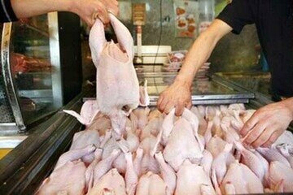 قیمت انواع گوشت مرغ در تهران اعلام شد
