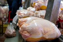 اعلام قیمت منطقی مرغ؛ از این گران‌تر نخرید