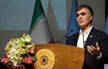 هشدار فرزین درباره اثرات تورمی افزایش نرخ ارز رسمی