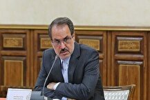 انحصار در واردات و توزیع برنج عامل گرانی است